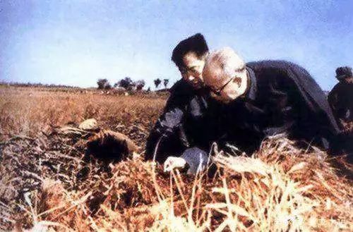 ⭐专业出售
Facebook不死老号
哪里买支持人脸识别的